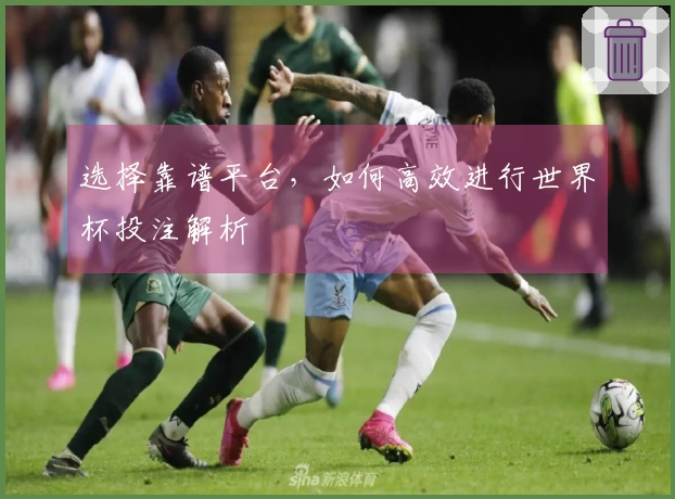 选择靠谱平台，如何高效进行世界杯投注解析