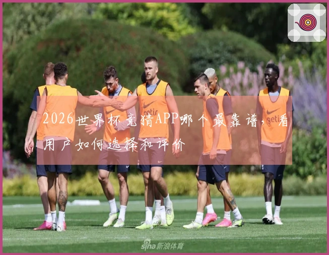 2026世界杯竞猜APP哪个最靠谱，看用户如何选择和评价