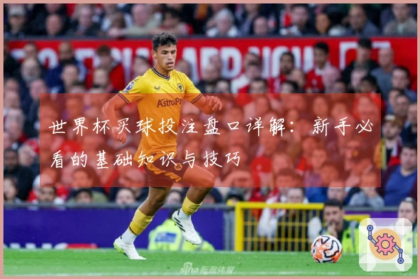 世界杯买球投注盘口详解：新手必看的基础知识与技巧