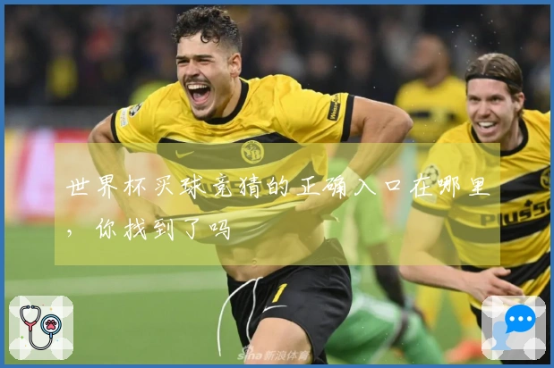 世界杯买球竞猜的正确入口在哪里，你找到了吗