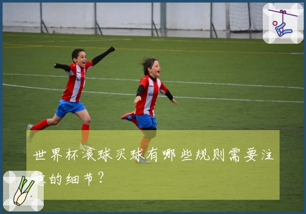世界杯滚球买球有哪些规则需要注意的细节？
