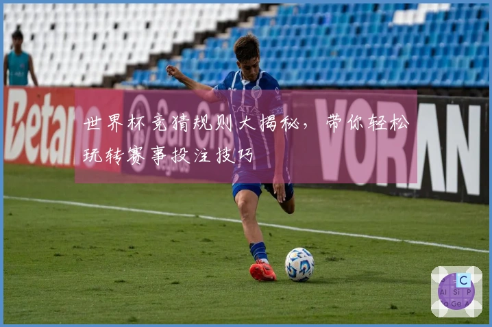 世界杯竞猜规则大揭秘，带你轻松玩转赛事投注技巧